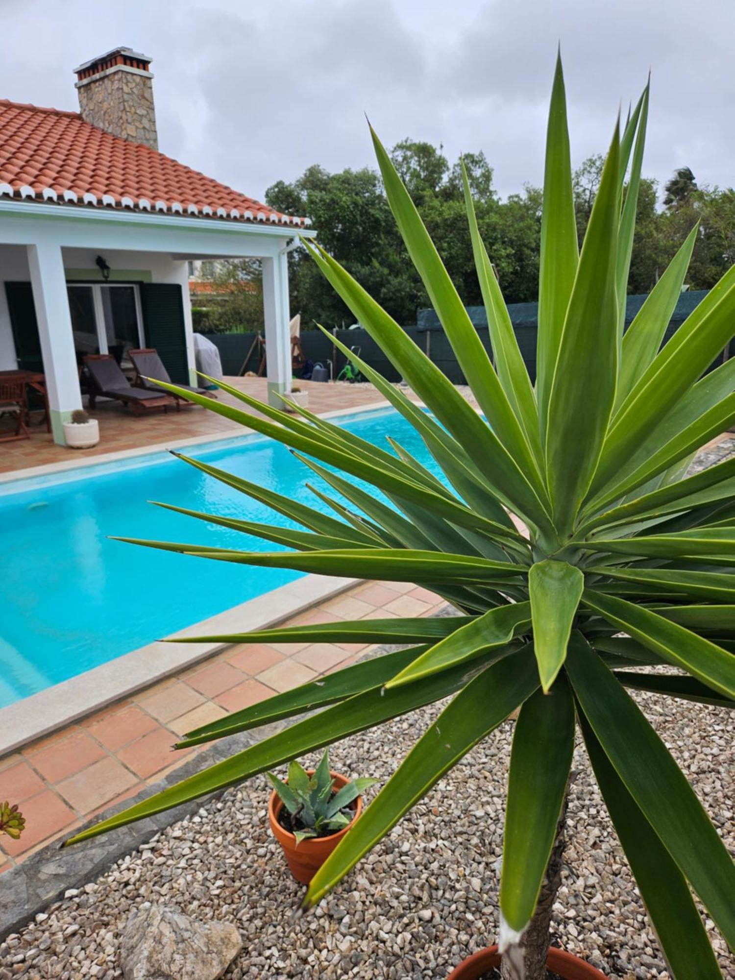 Casa Delbon Guest House ألخيزور المظهر الخارجي الصورة