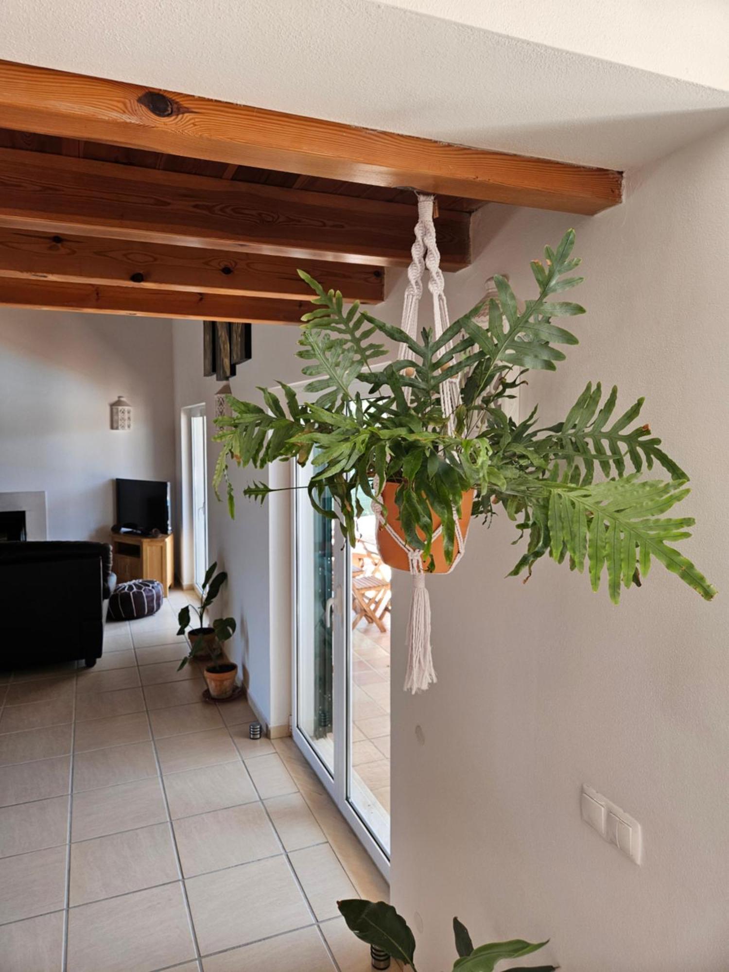 Casa Delbon Guest House ألخيزور المظهر الخارجي الصورة